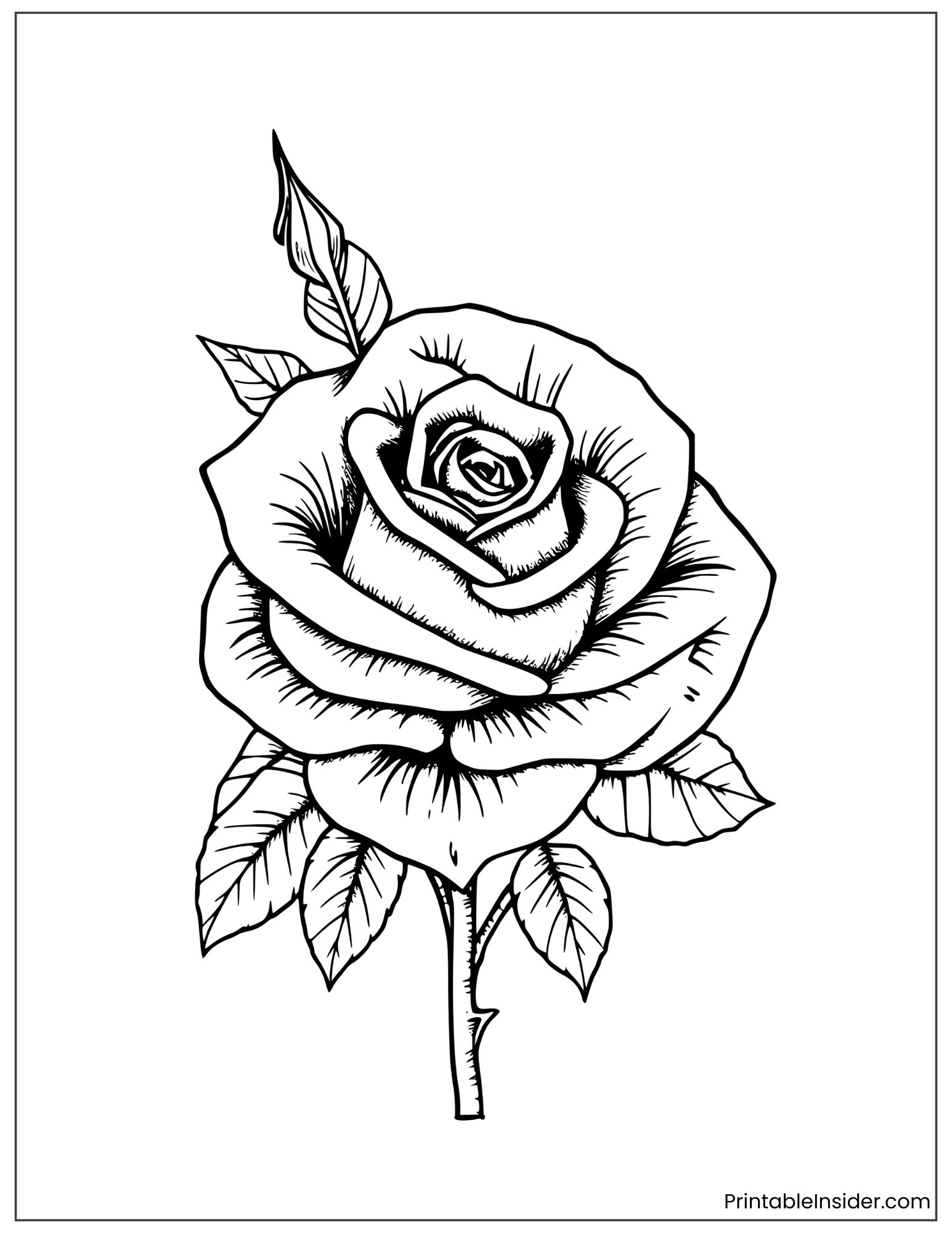 aesthetic rose tattoo design