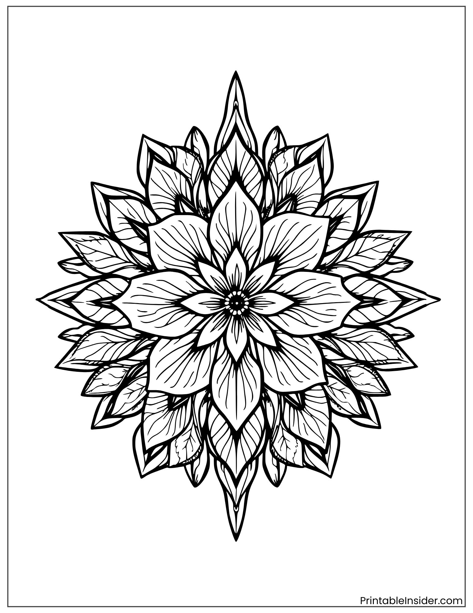 beautiful tropical flower mandala