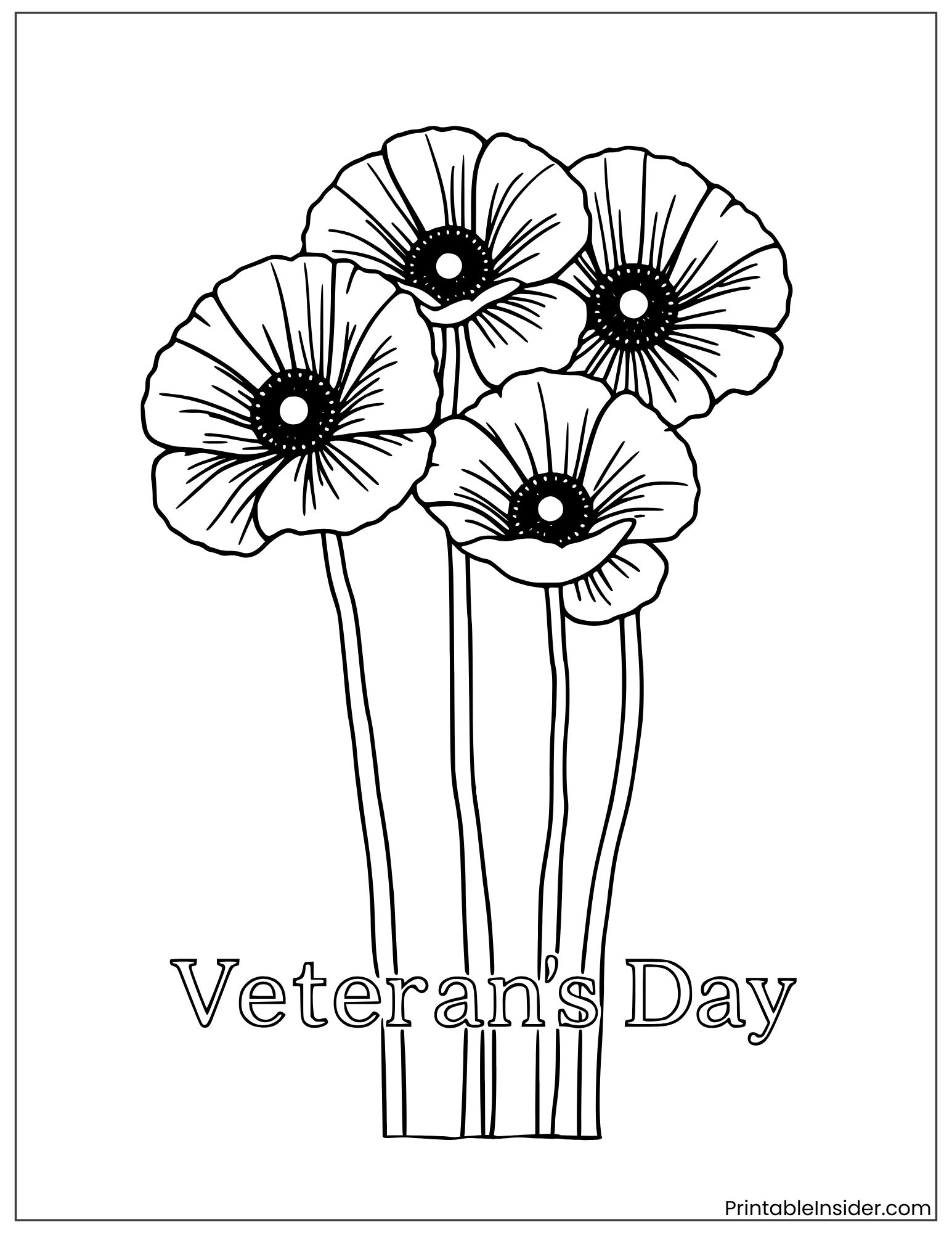 beautiful veterans day poppy flowers