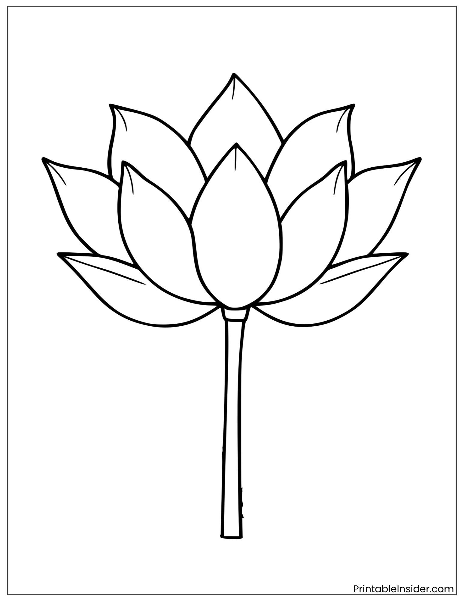 black and white lotus outline