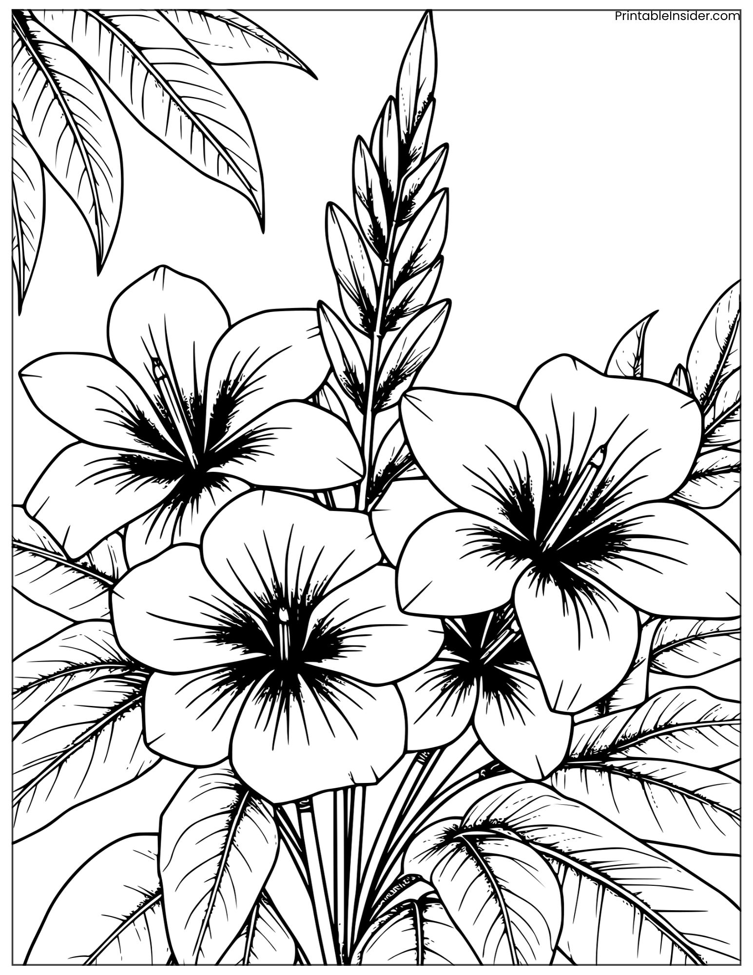 black and white tropical flower sketch