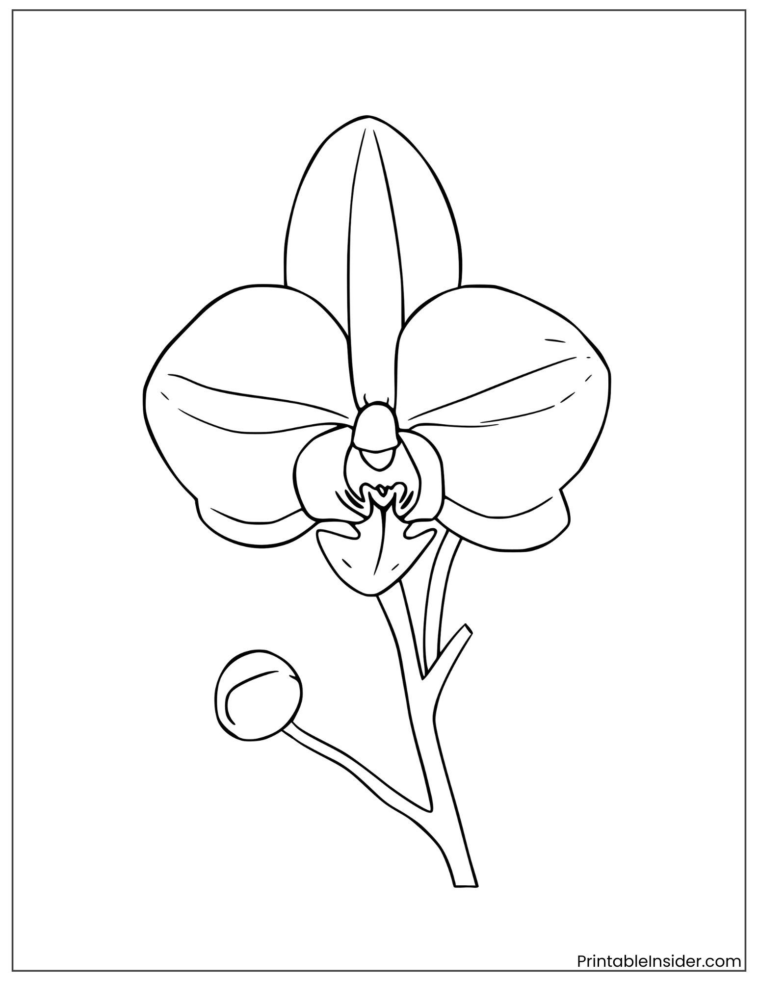 black and white tropical orchid design