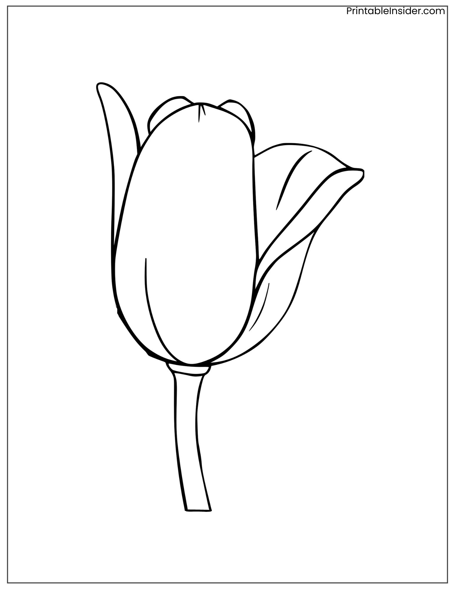 black and white tulip outline