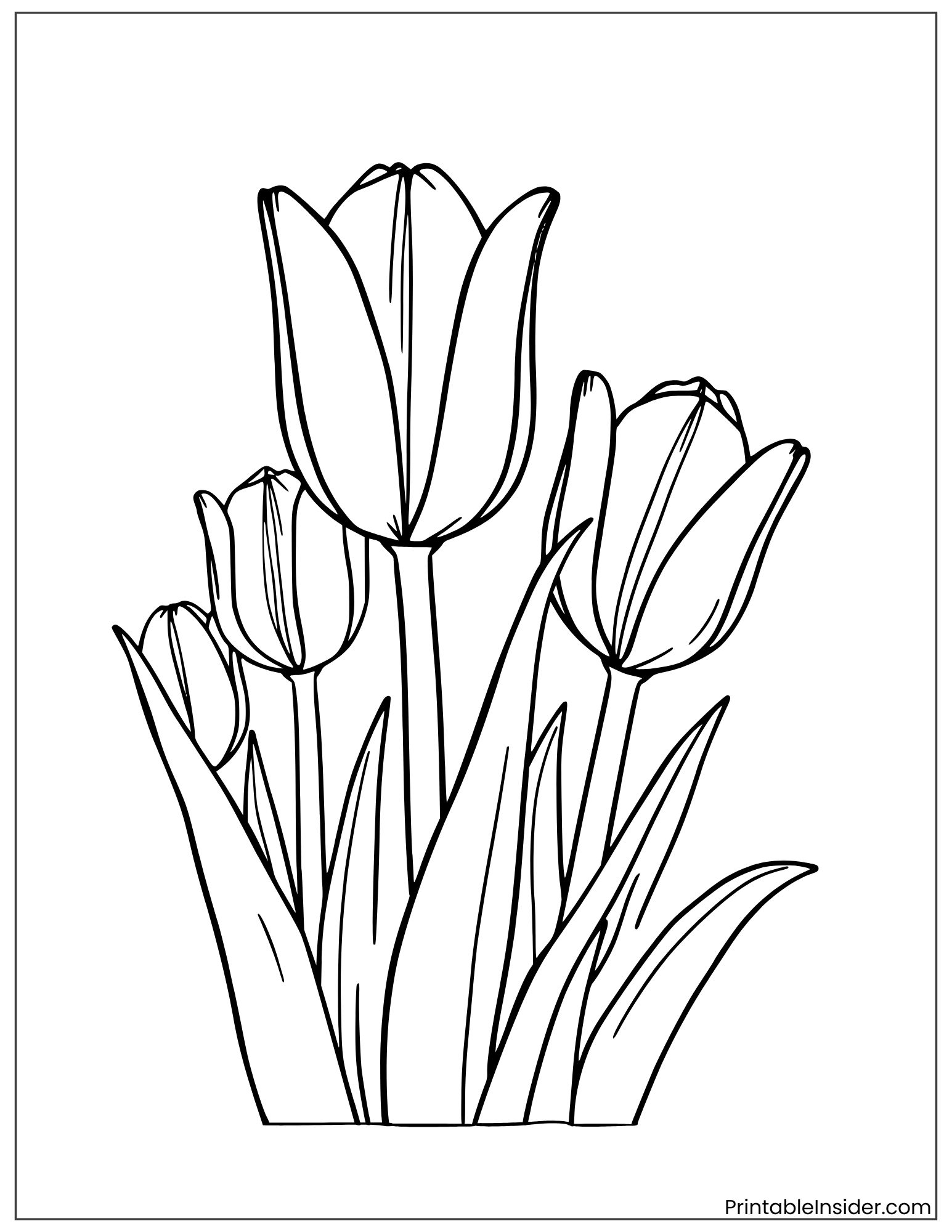 coloring sheet of large tulip bulbs