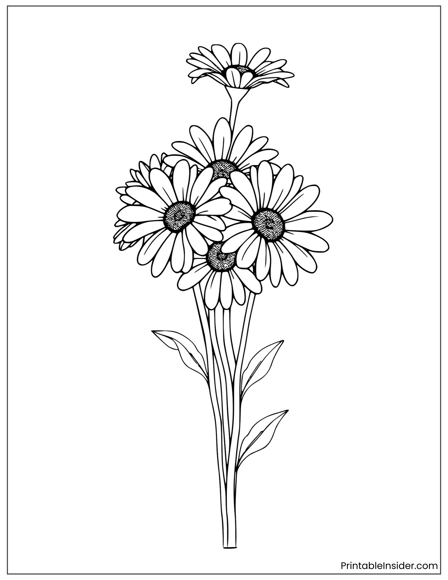 detailed daisy bouquet