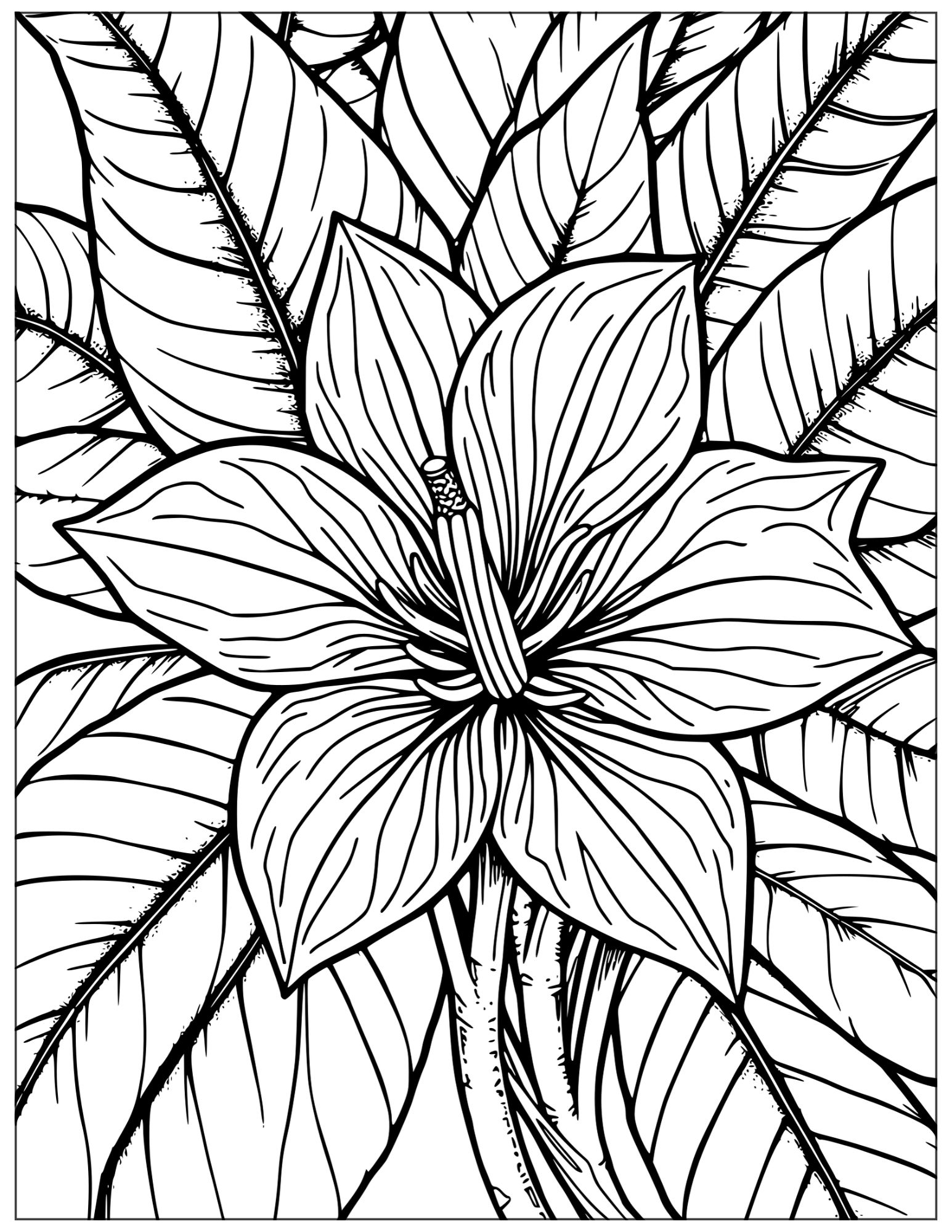 detailed tropical flower for adults