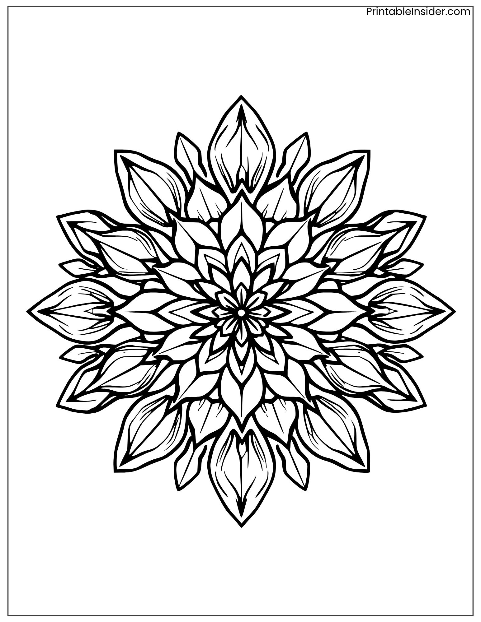 detailed tulip mandala design