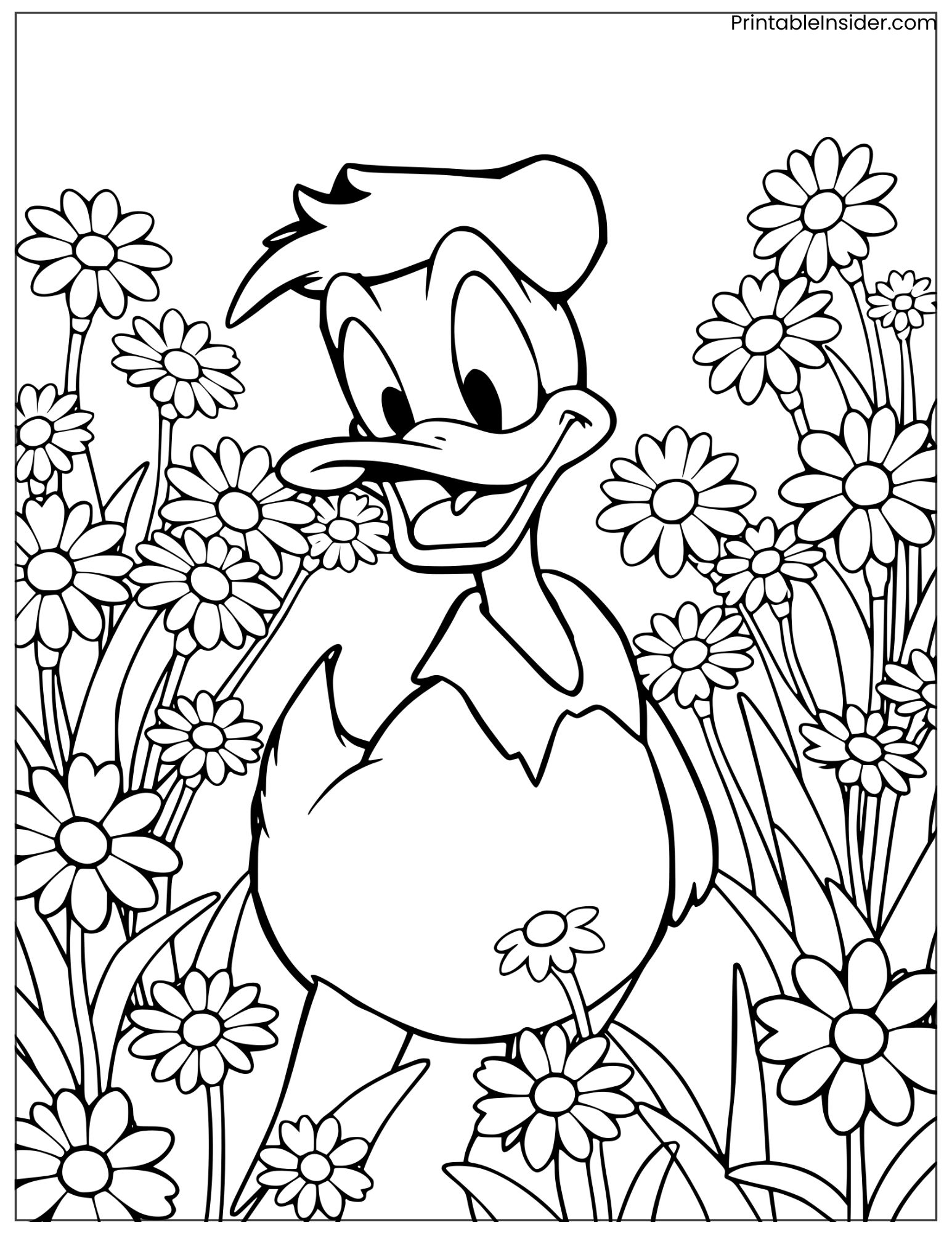 donald duck in a daisy garden