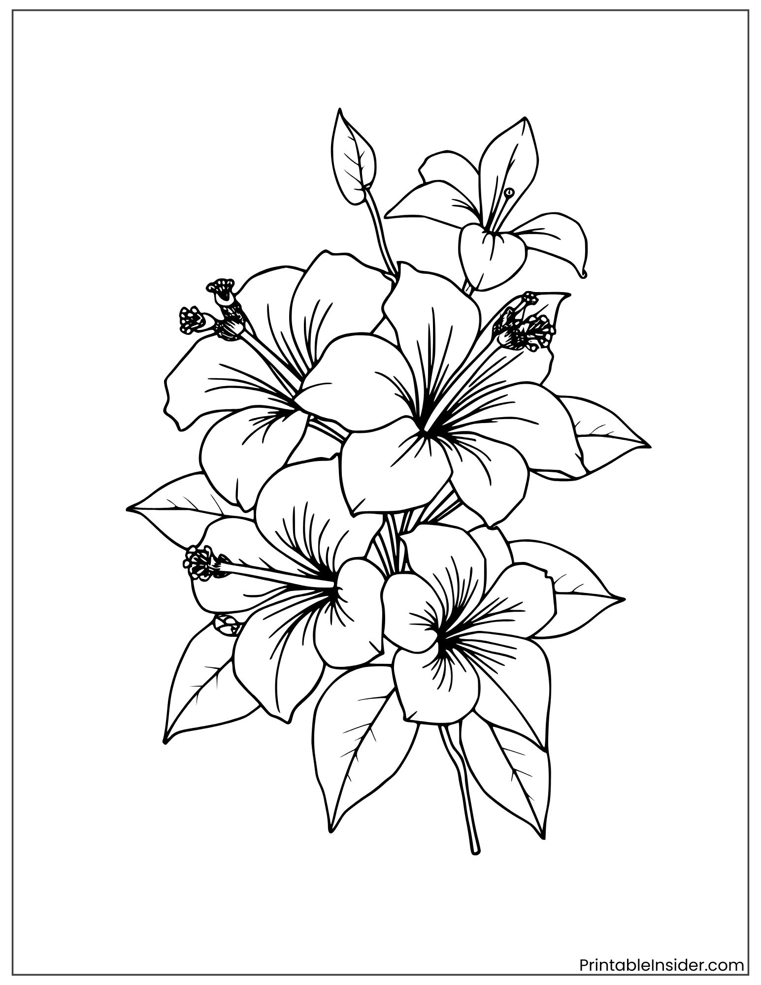 fine line hibiscus floral art