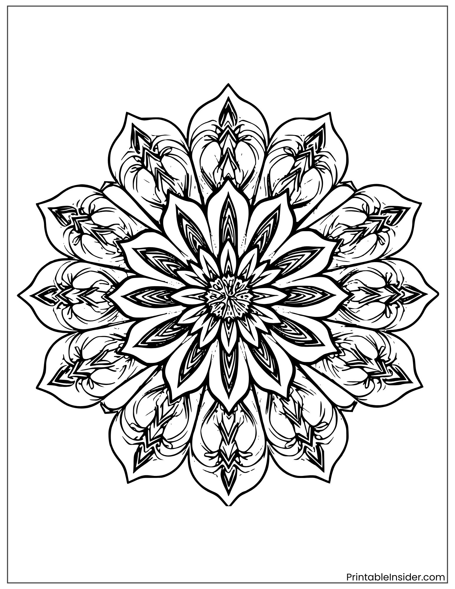 floral orchid mandala