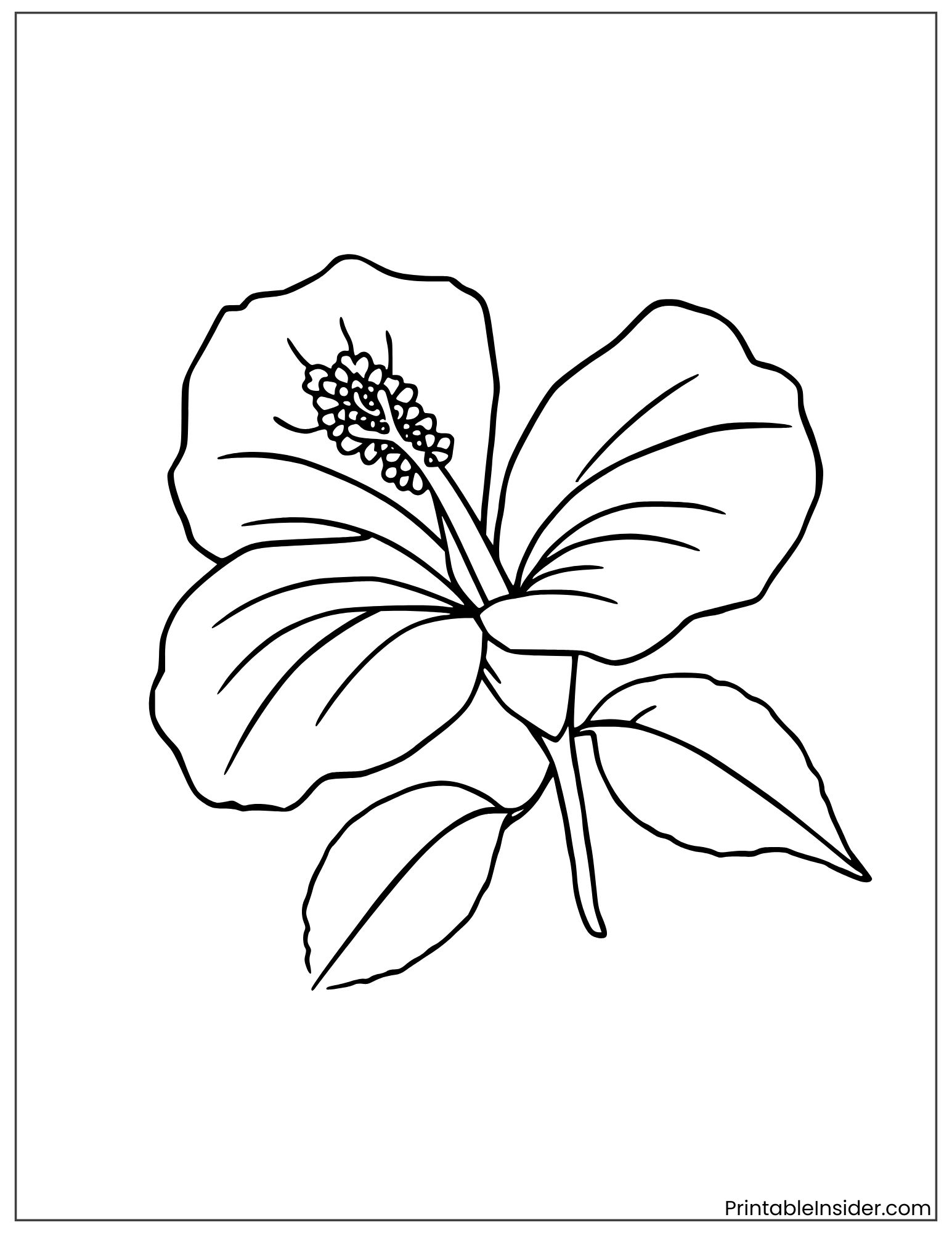 hawaiian hibiscus floral design