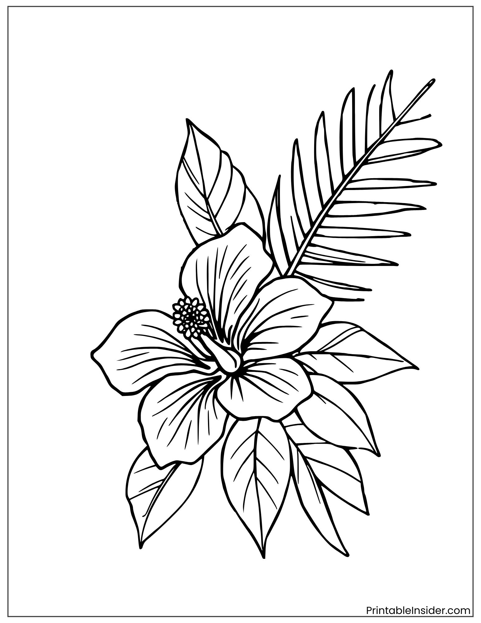 hibiscus and palm leaves