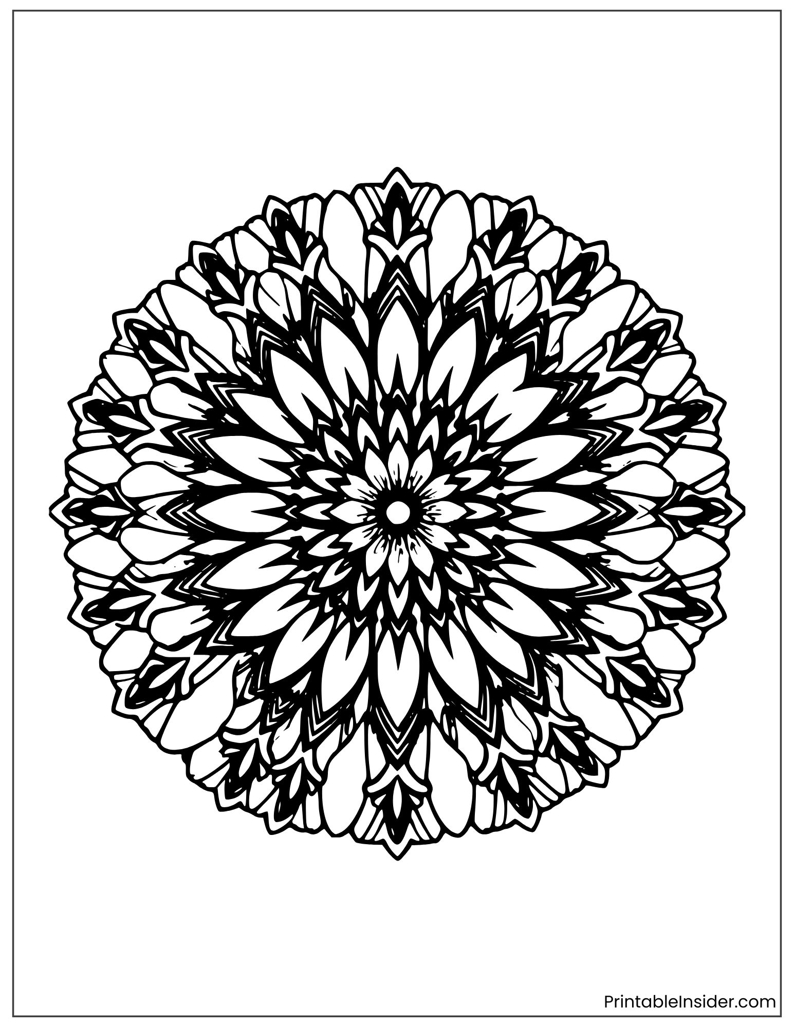 intricate daisy petal mandala