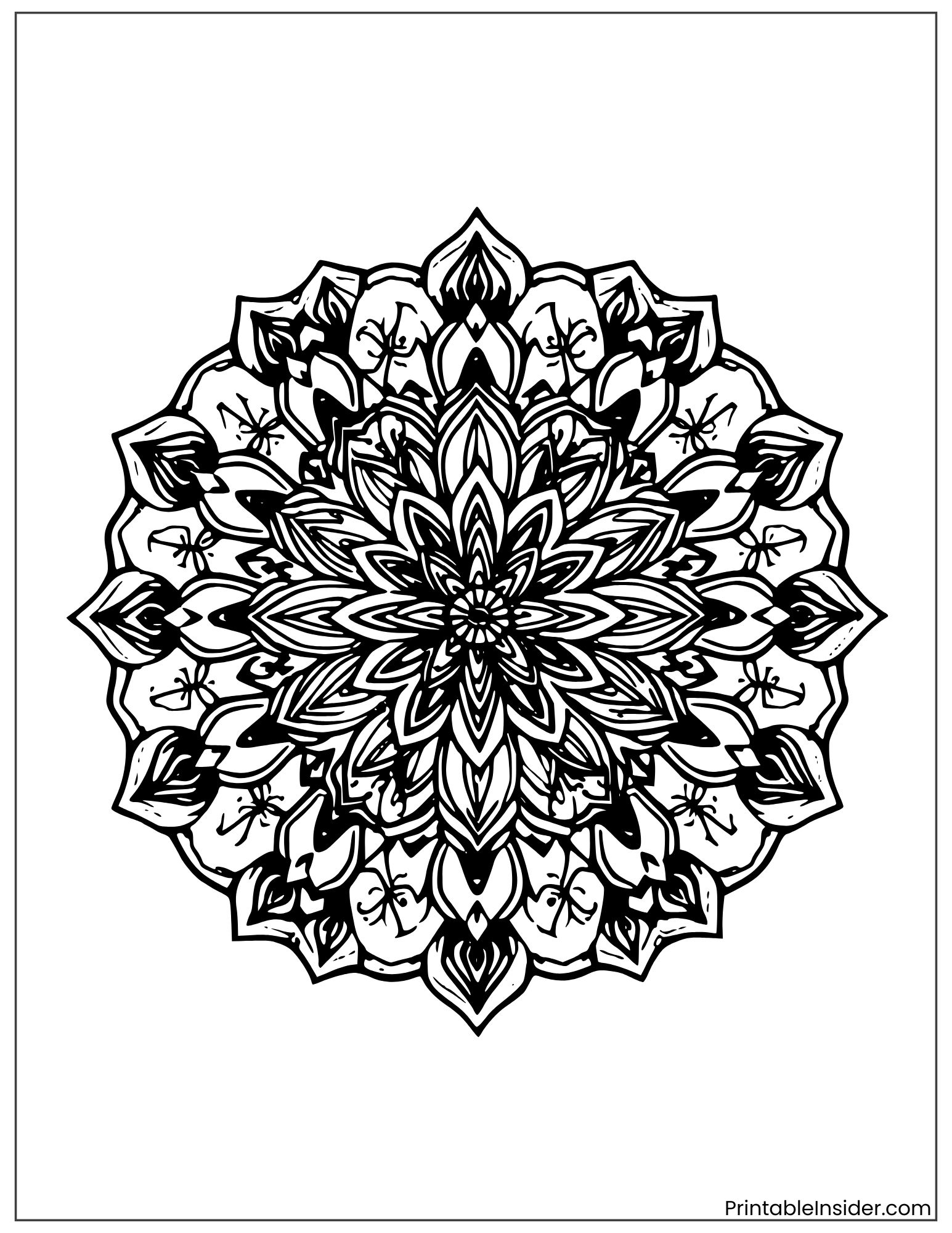 intricate lotus flower mandala