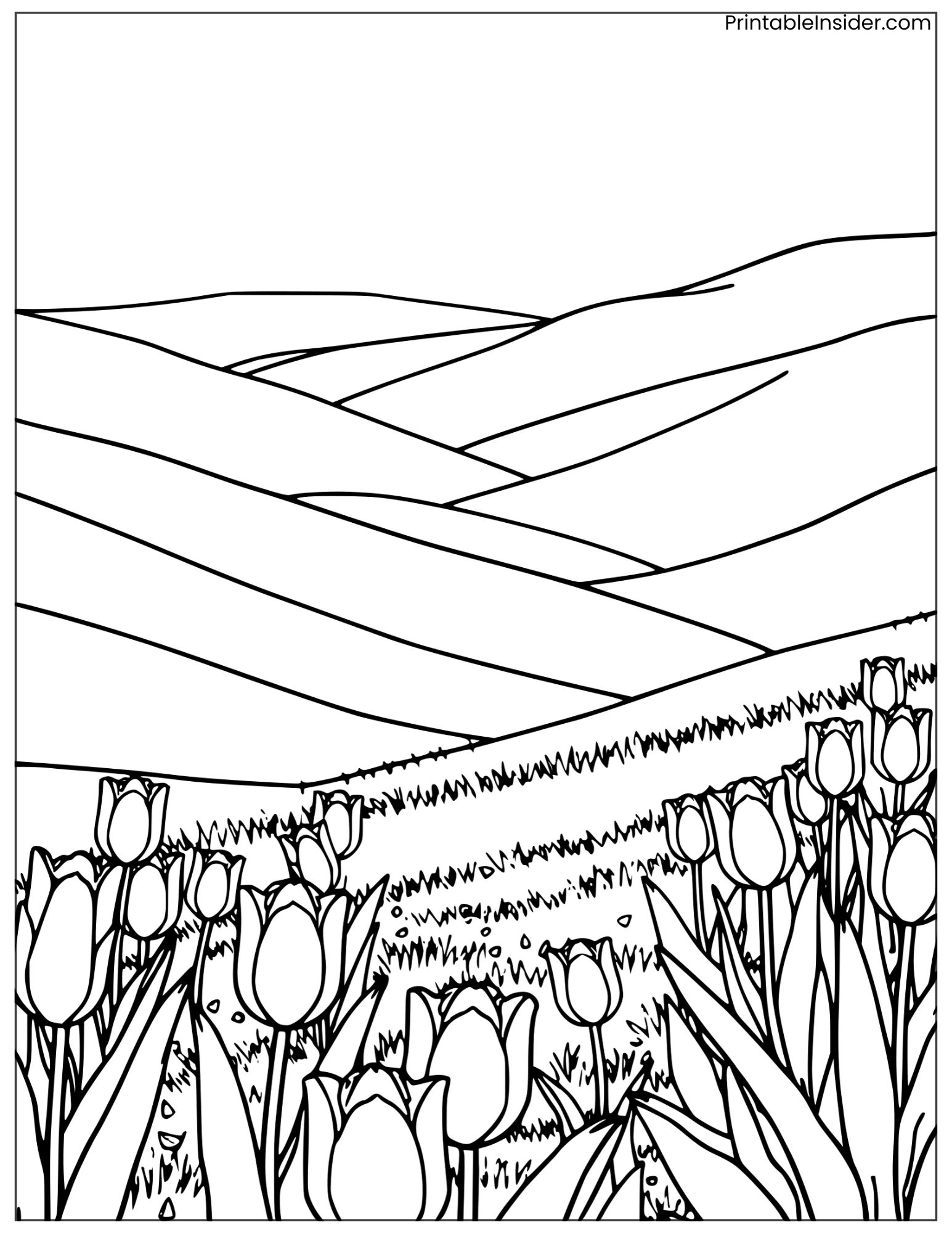 landscape with tulips and rolling hills