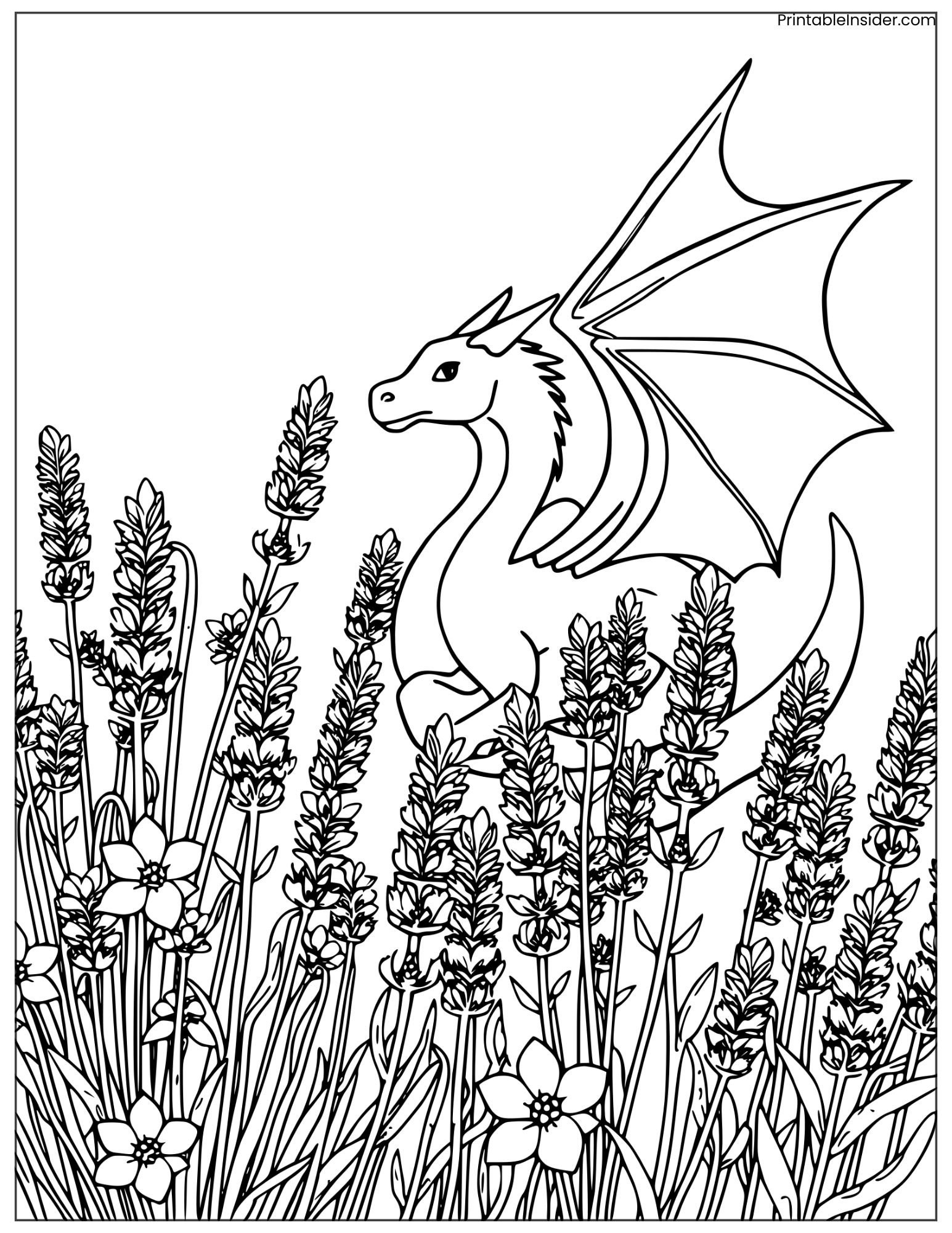 lavender dragon