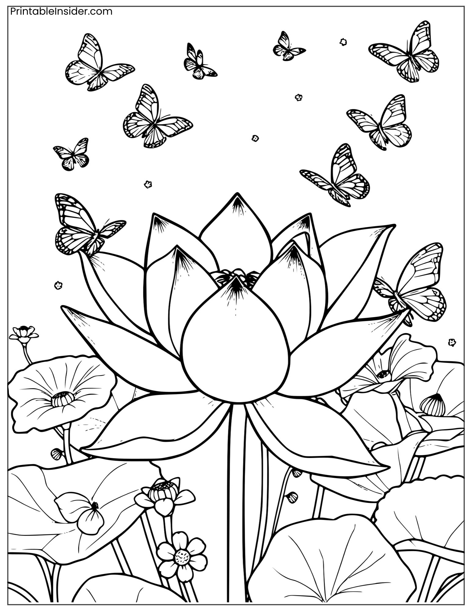 lotus and butterflies