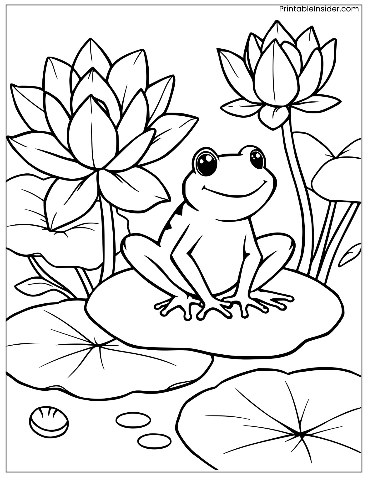 lotus and frog on a lily pad