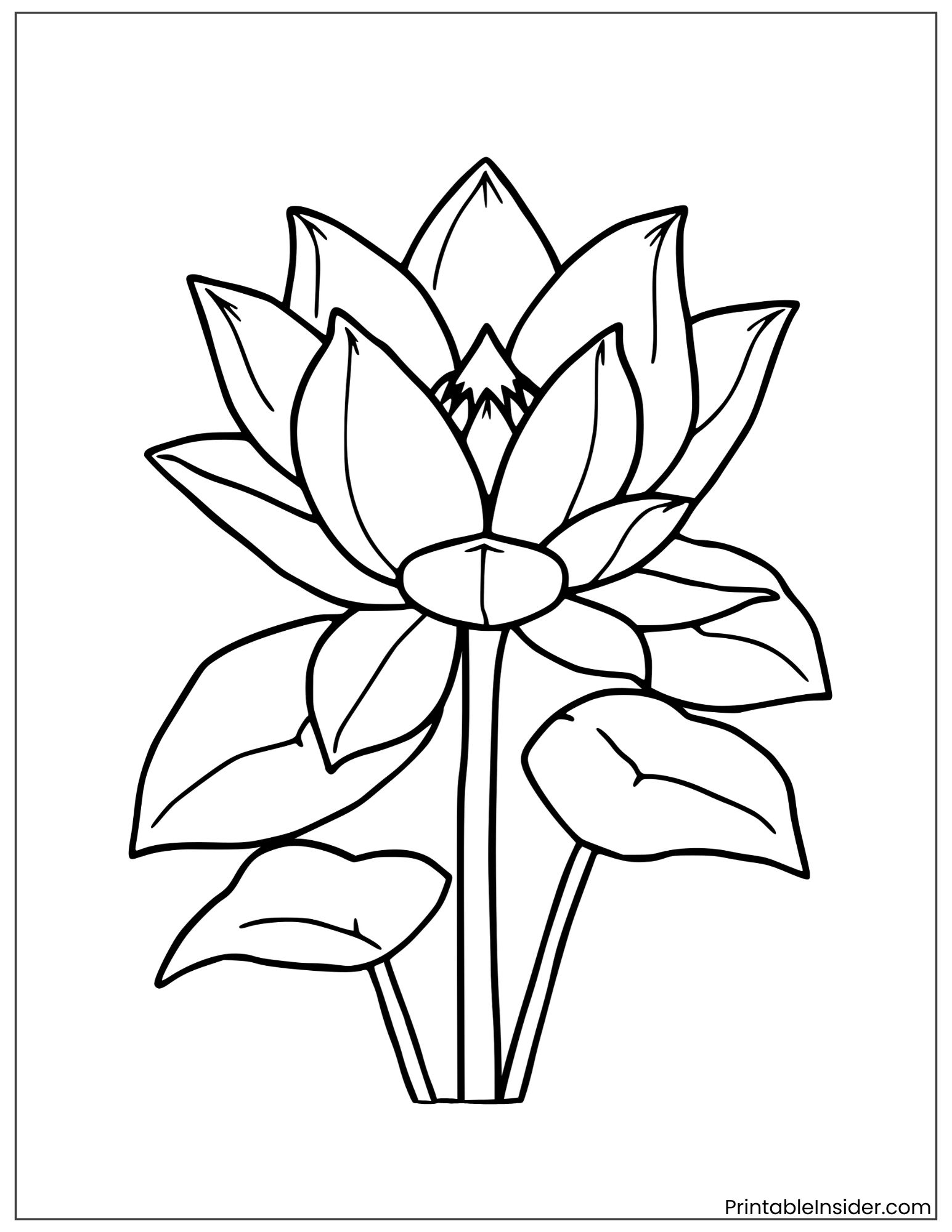 lotus flower drawing for kids