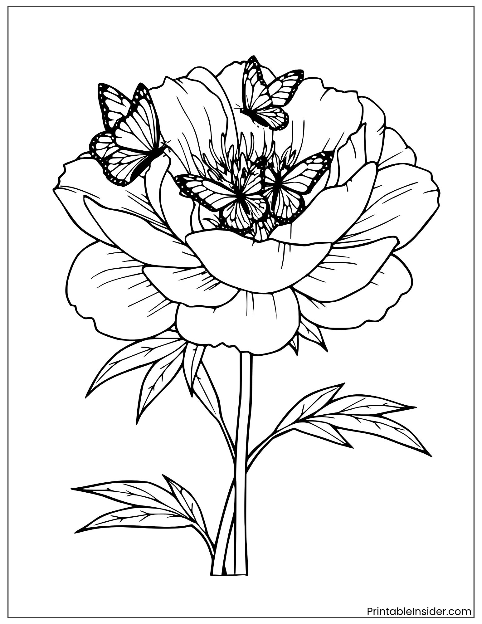 peony flower and butterflies