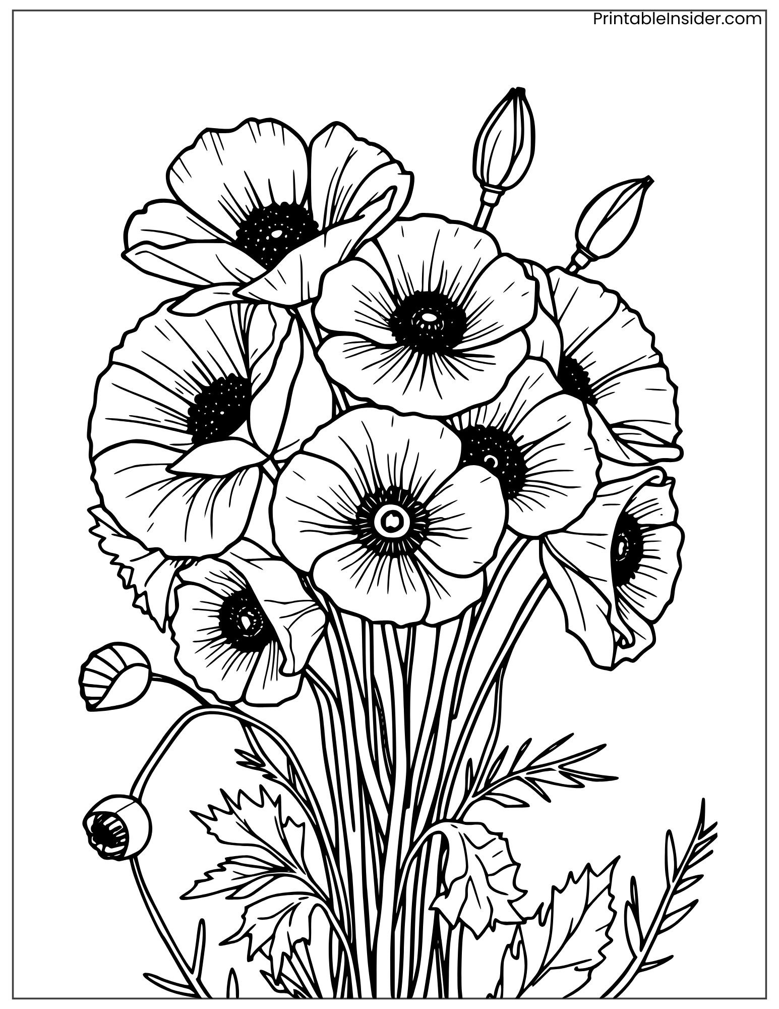 poppy bouquet for adult