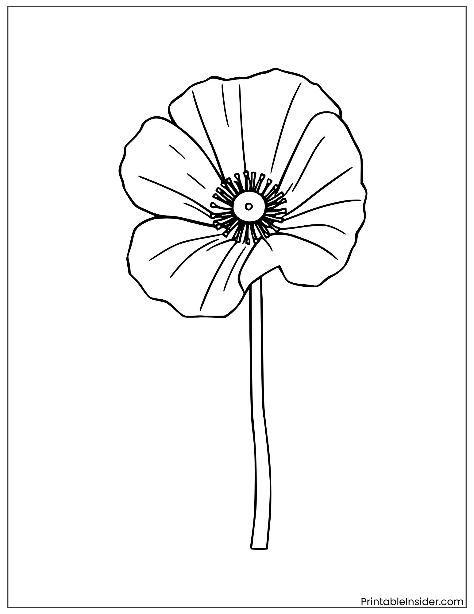 simple poppy flower