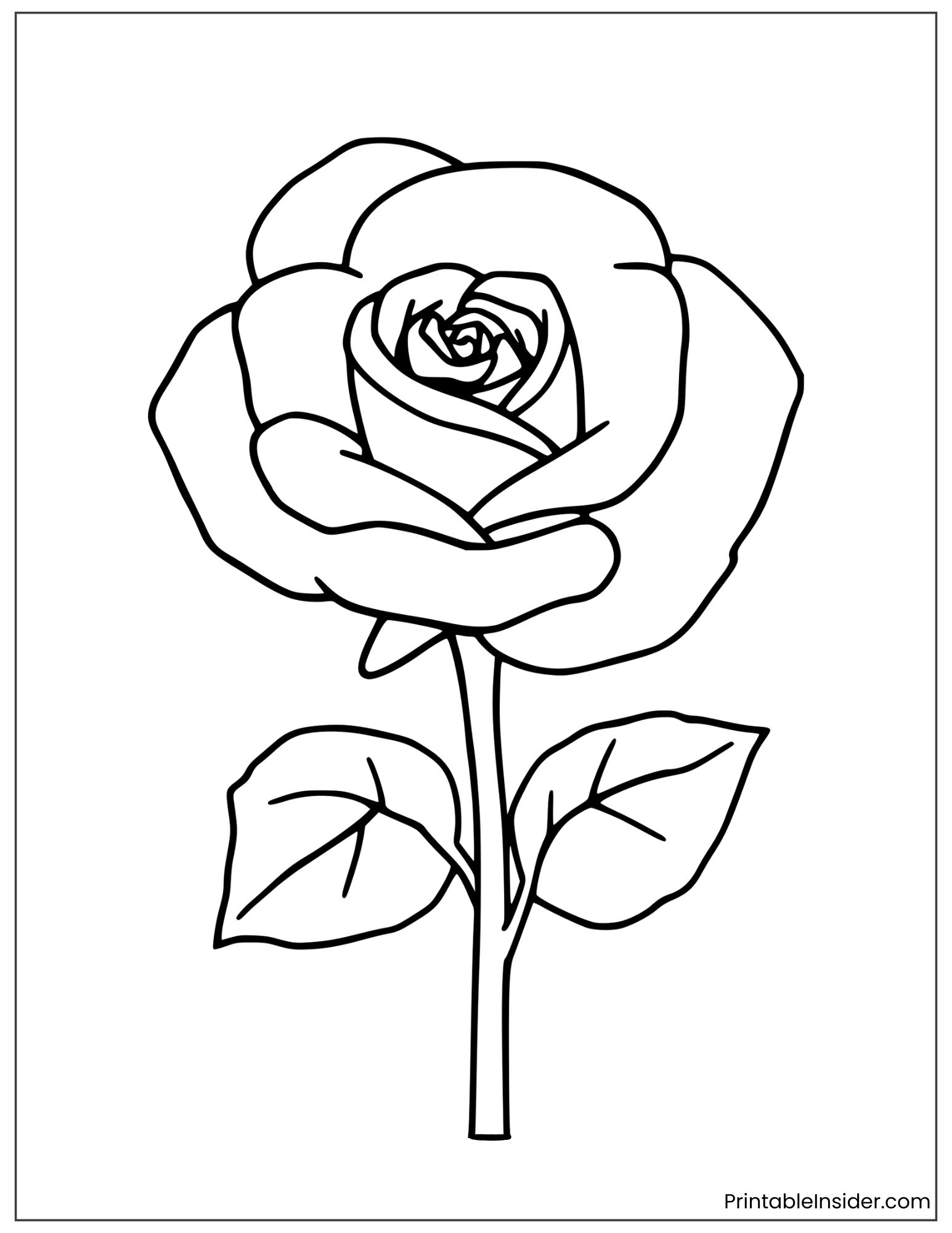 simple realistic rose drawing