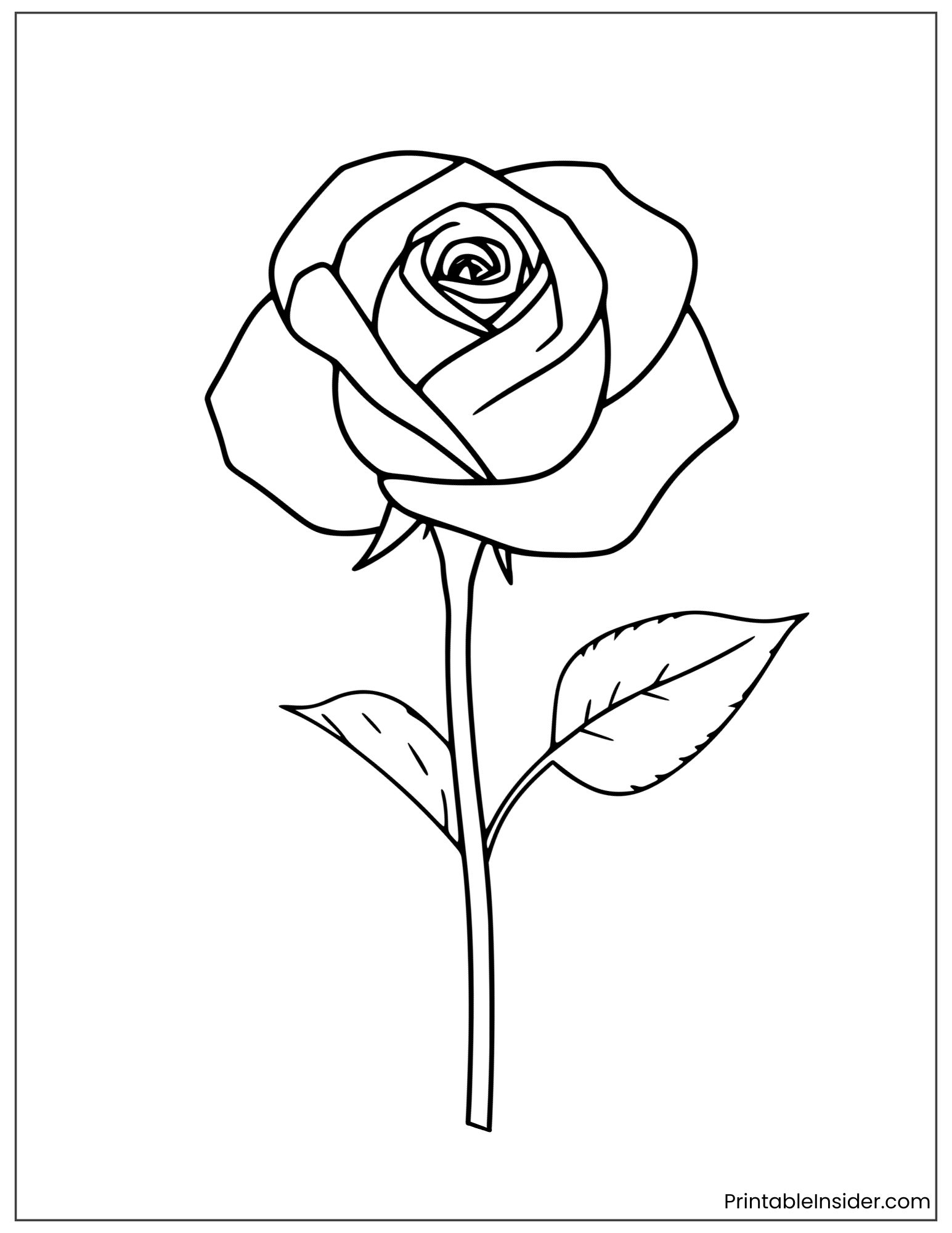 simple rose drawing