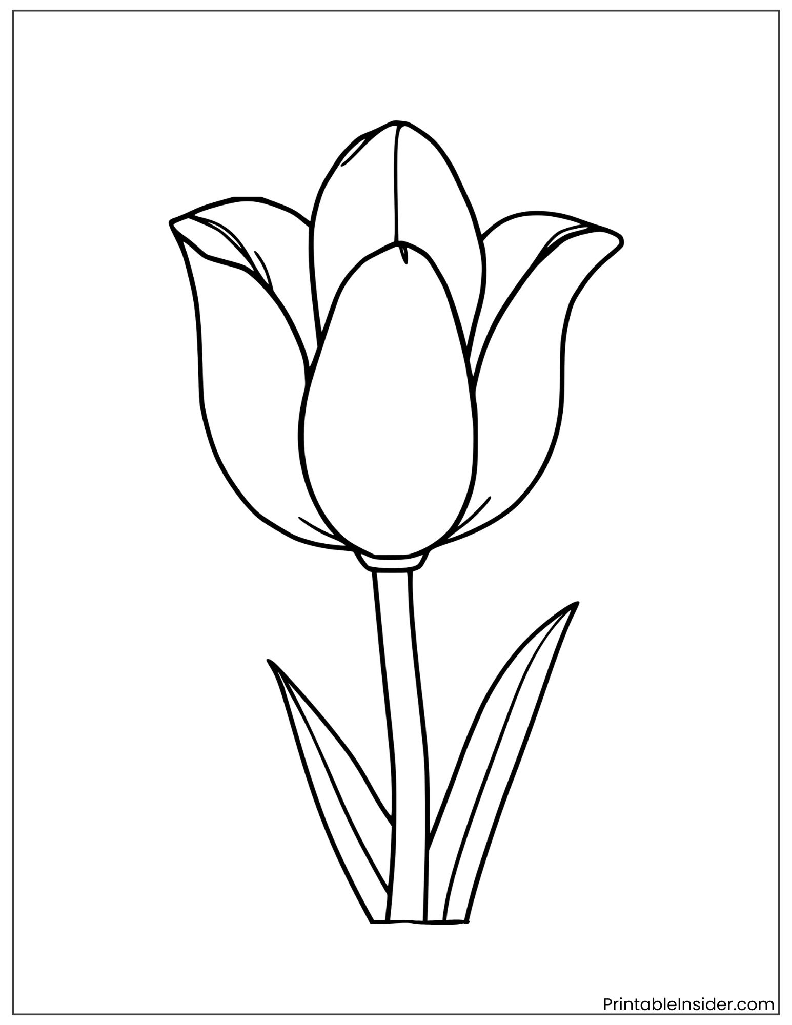 simple tulip for preschoolers