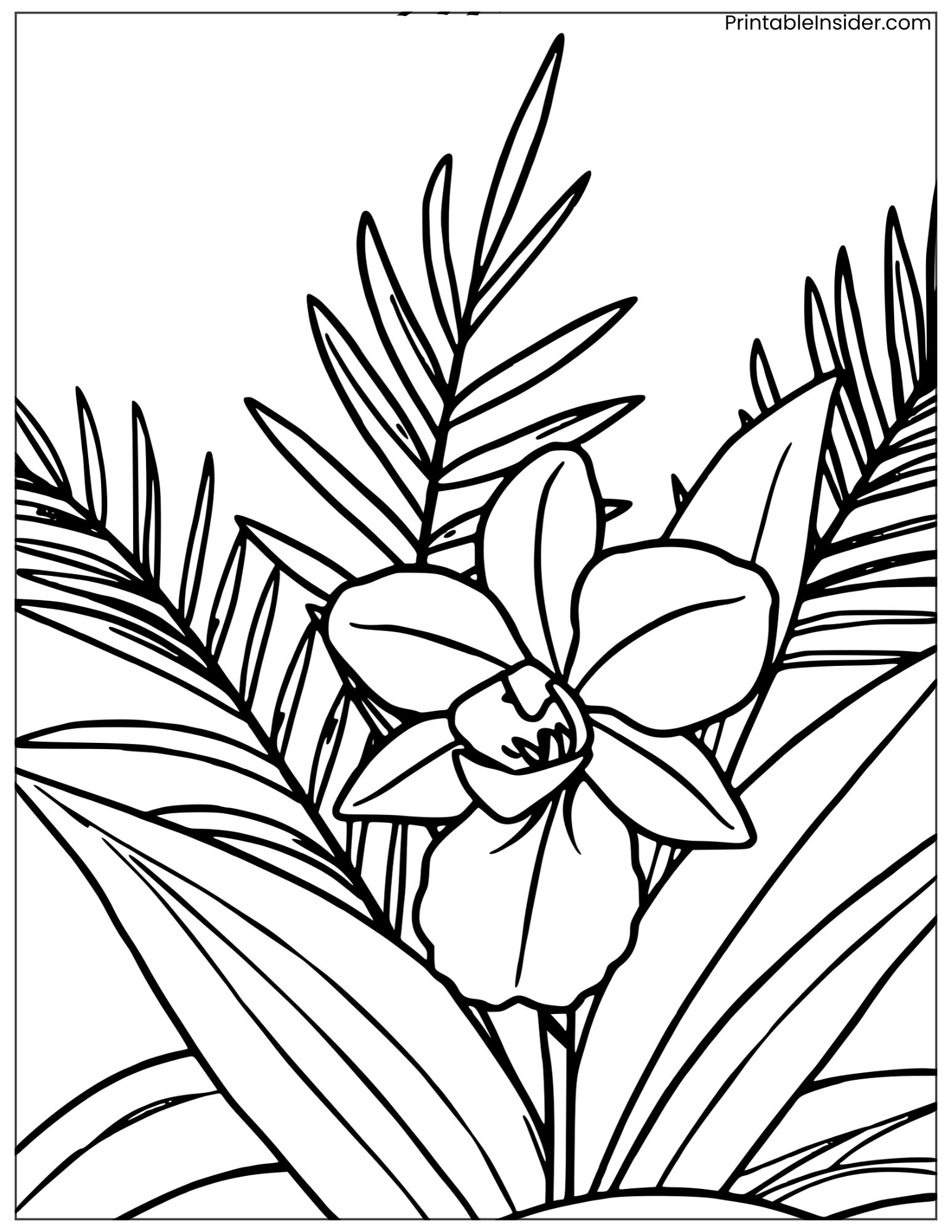 tropical orchid with palm leaves