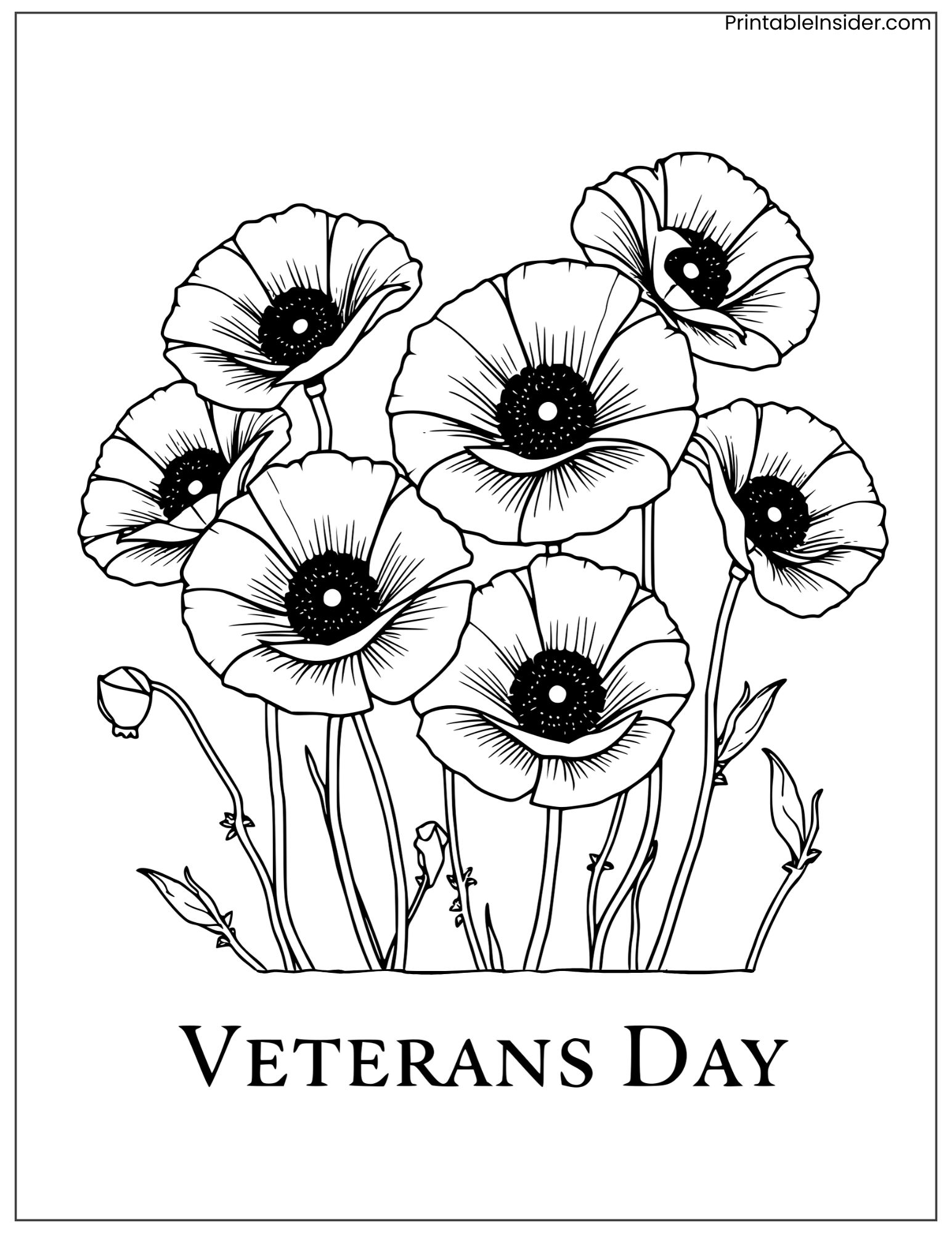 veterans day poppy tribute